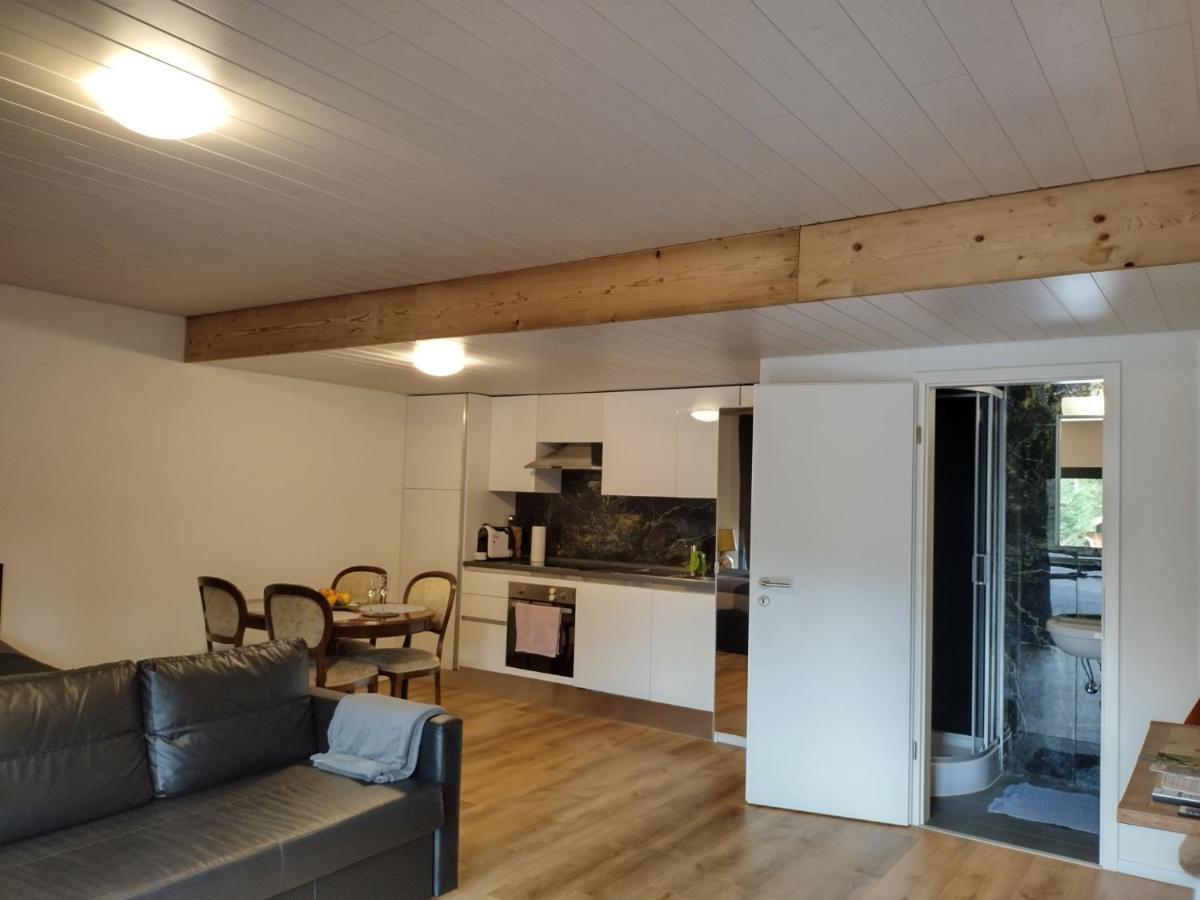 Spacieux Studio 38M2 Les Paccots 외부 사진